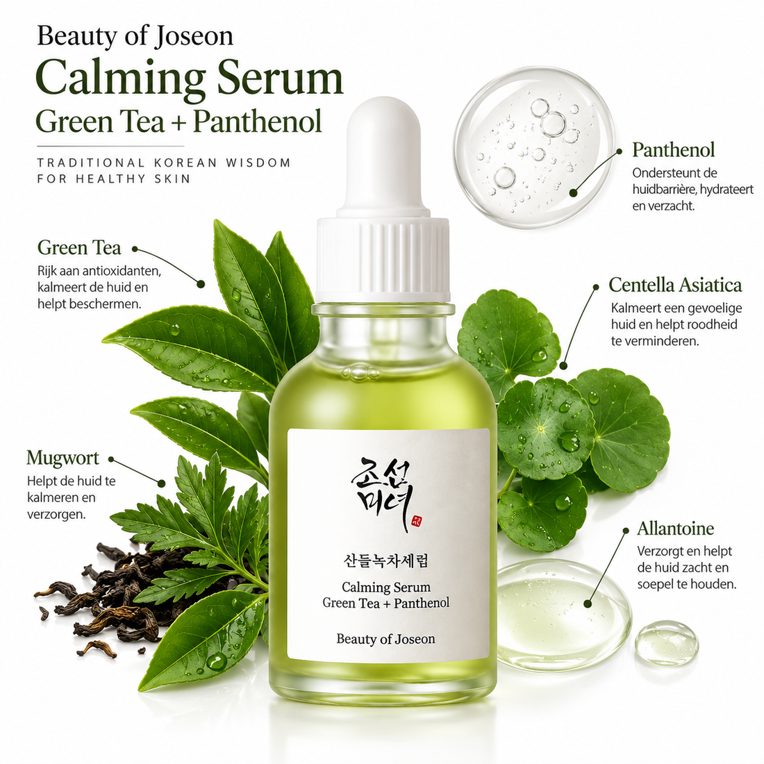 Beauty of Joseon Calming Serum Green tea+Panthenol