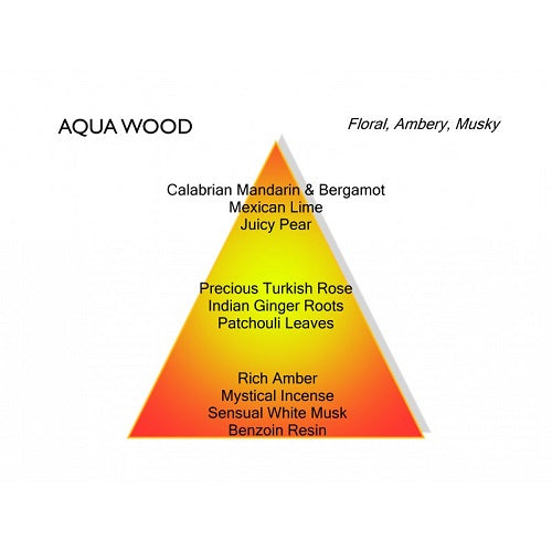 Mancera Aqua Wood Eau De Parfum