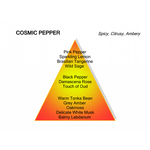 Mancera Cosmic Pepper Eau de Parfum