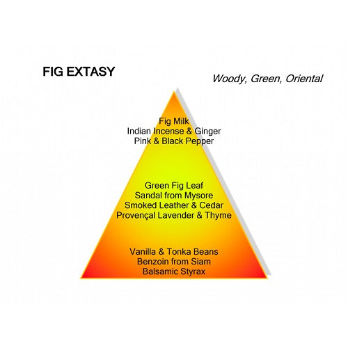 Mancera Fig Extasy Eau de Parfum - Betoverende uniseks geur
